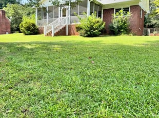 Melissa S.'s turf maintenance service result