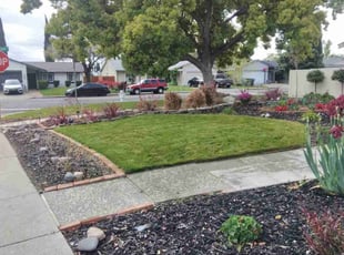 Melissa B.'s lawn maintenance service result
