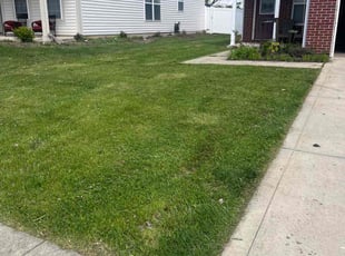 Eseroghene O.'s lawn care services service result