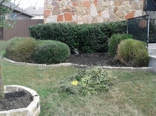 James W.'s Bush Trimming service result