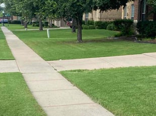 Stephanie B.'s grass maintenance service result