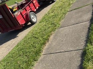 Mike S.'s lawn maintenance service result