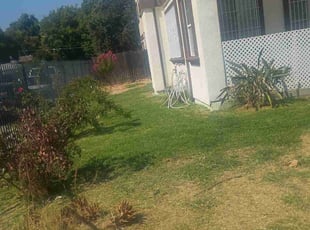 Ashish G.'s grass maintenance service result