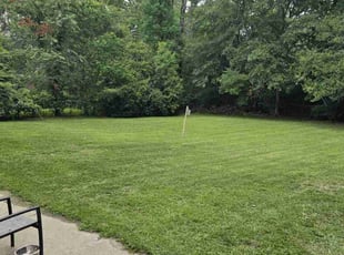 Catherine F.'s turf maintenance service result
