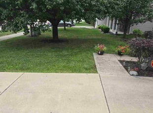 John D.'s lawn maintenance service result