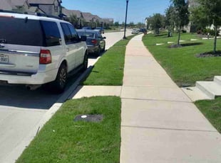 George M.'s turf maintenance service result