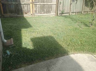 Rob D.'s grass maintenance service result