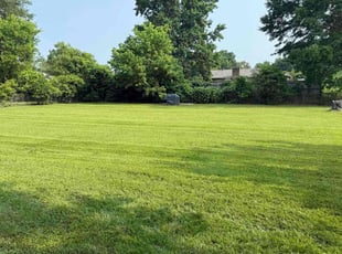 Angela S.'s lawn care service result