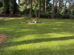 Myra S.'s lawn care services service result