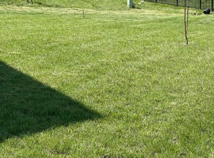 Jessica R.'s lawn maintenance service result