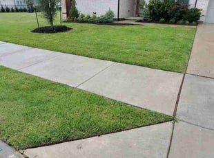 Marshawn M.'s yard service service result