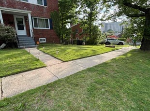 Mykal S.'s turf care service result