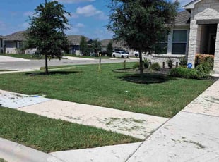 Richard W.'s turf care service result