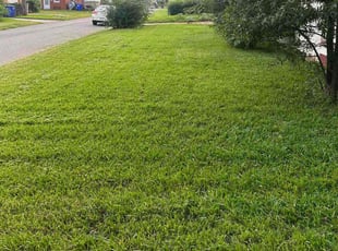 Stacey W.'s Long Grass Cleanup service result