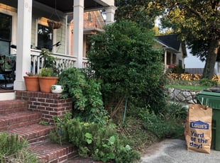 Jace N.'s Bush Trimming service result