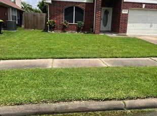 Roswelle B.'s grass maintenance service result