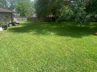 Darleen L.'s lawn care services service result