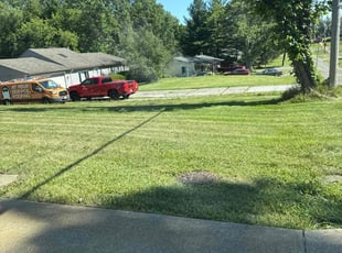 Nicole H.'s turf care service result