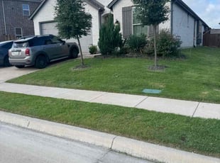 Rafael A.'s Long Grass Cleanup service result