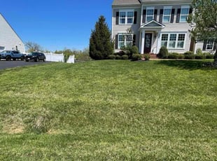 David R.'s turf maintenance service result