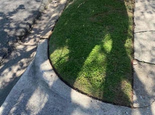 Mark M.'s lawn care service result