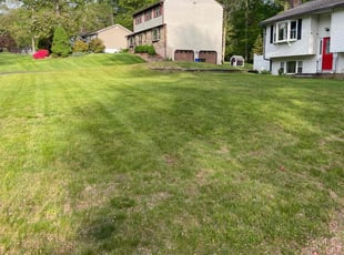 Terry M.'s lawn maintenance service result