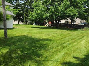 Richard K.'s turf maintenance service result