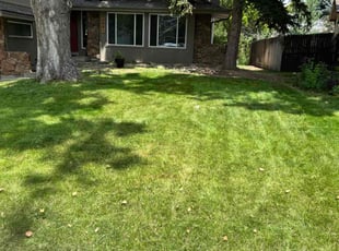 Stacey P.'s lawn maintenance service result