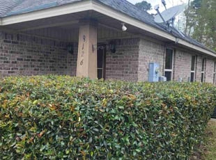 Sri V.'s Bush Trimming service result