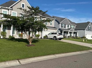 Tracy B.'s lawn maintenance service result