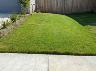 Eric M.'s lawn care service result