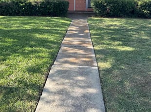 Teresa A.'s turf maintenance service result