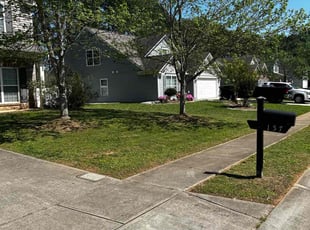 C. C.'s grass maintenance service result