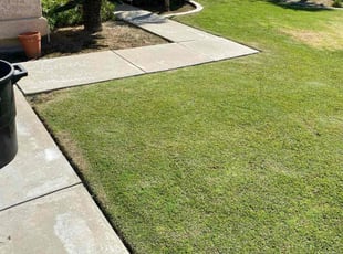 Lisa N.'s lawn care service result