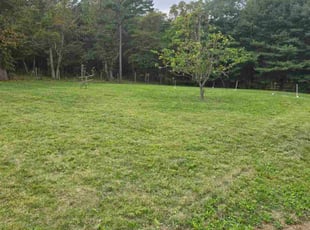 Betty S.'s turf care service result