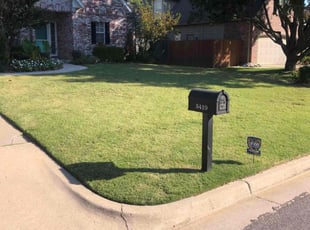 Eric Y.'s lawn service service result