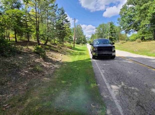 Bridgett T.'s turf maintenance service result