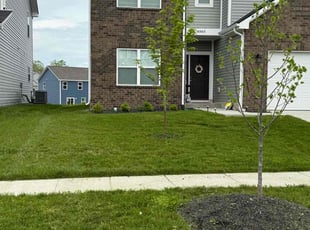 Rebecca C.'s grass maintenance service result