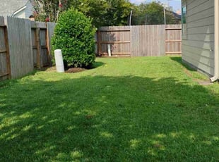 Mike R.'s lawn maintenance service result
