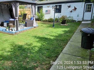 Qusaye F.'s grass cutting service result