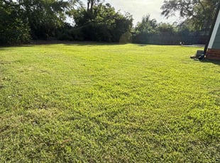 Pamela K.'s grass maintenance service result