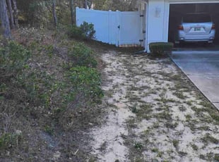 Robert C.'s Bush Trimming service result