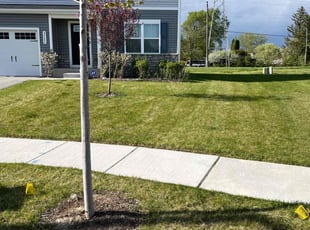 Bob A.'s grass cutting service result