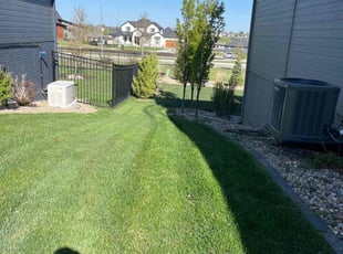 Abigail H.'s lawn care service result