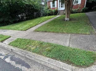 George R.'s grass cutting service result