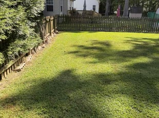 Bill B.'s lawn care service result