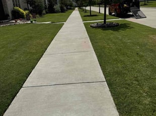 Michelle N.'s lawn service service result