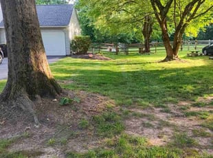 Cotrenia A.'s lawn care service result