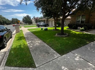 John P.'s lawn care services service result