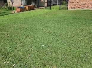 Alex A.'s lawn maintenance service result